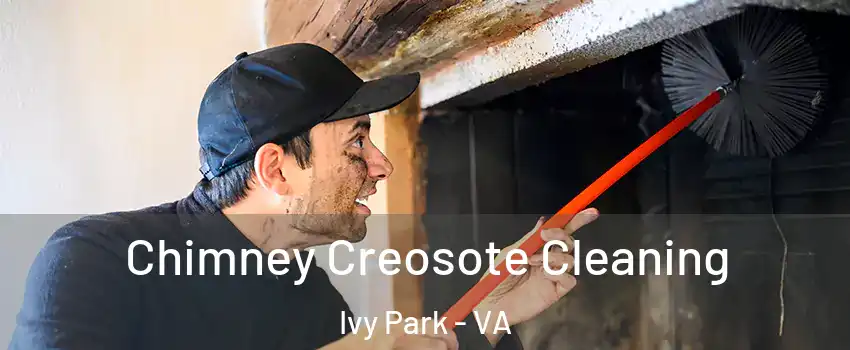 Chimney Creosote Cleaning Ivy Park - VA