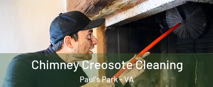 Chimney Creosote Cleaning Paul's Park - VA