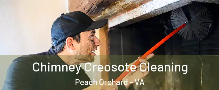 Chimney Creosote Cleaning Peach Orchard - VA