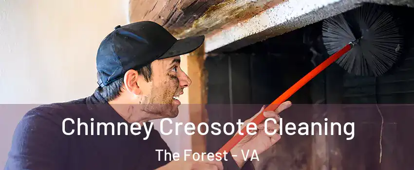 Chimney Creosote Cleaning The Forest - VA