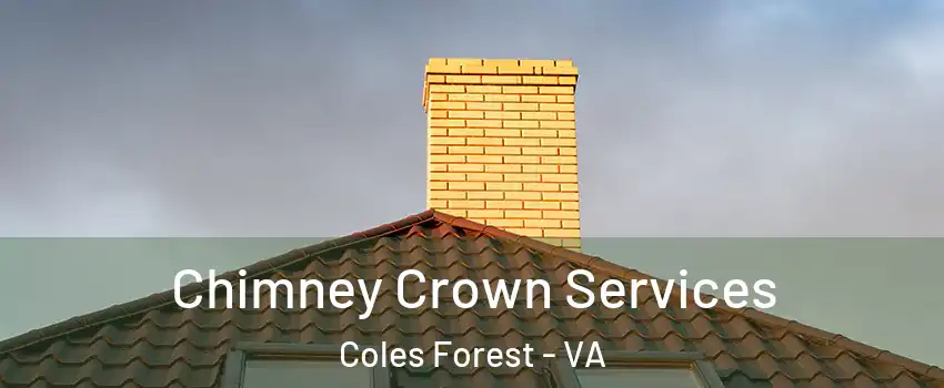 Chimney Crown Services Coles Forest - VA