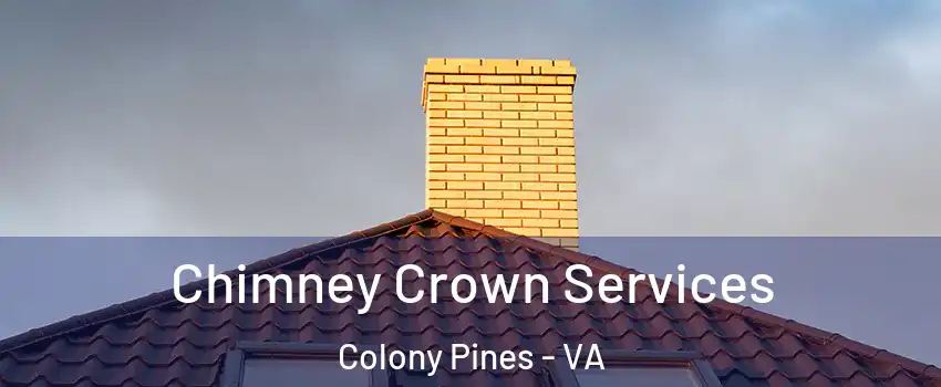 Chimney Crown Services Colony Pines - VA