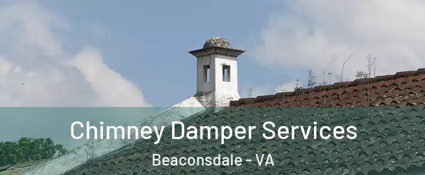 Chimney Damper Services Beaconsdale - VA