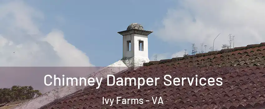 Chimney Damper Services Ivy Farms - VA