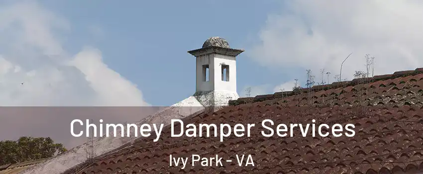 Chimney Damper Services Ivy Park - VA