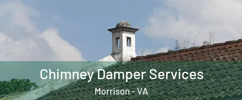 Chimney Damper Services Morrison - VA