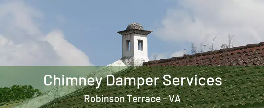 Chimney Damper Services Robinson Terrace - VA