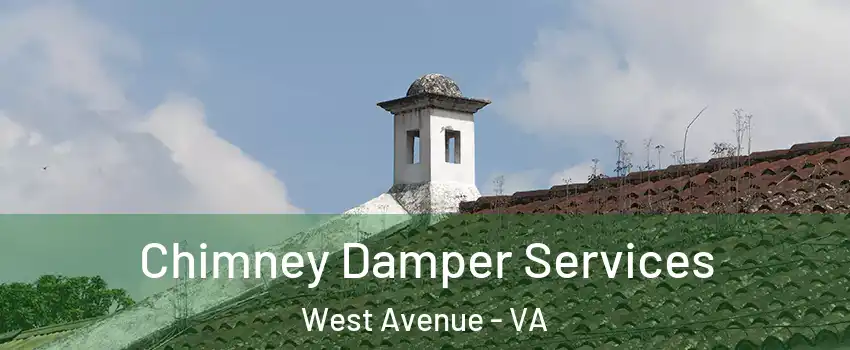 Chimney Damper Services West Avenue - VA
