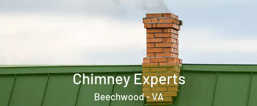 Chimney Experts Beechwood - VA