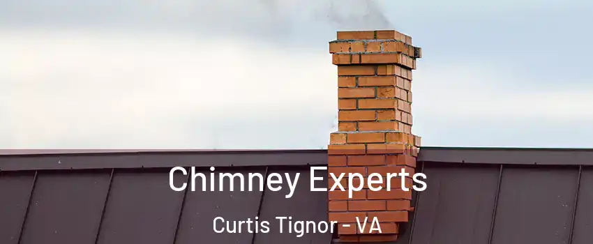 Chimney Experts Curtis Tignor - VA