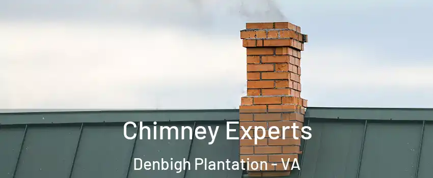 Chimney Experts Denbigh Plantation - VA