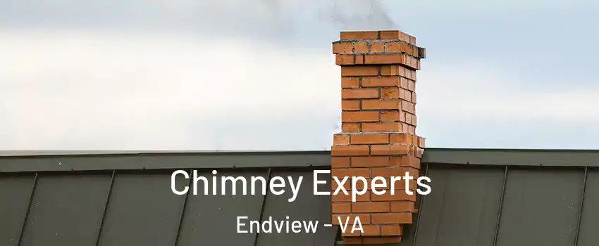 Chimney Experts Endview - VA