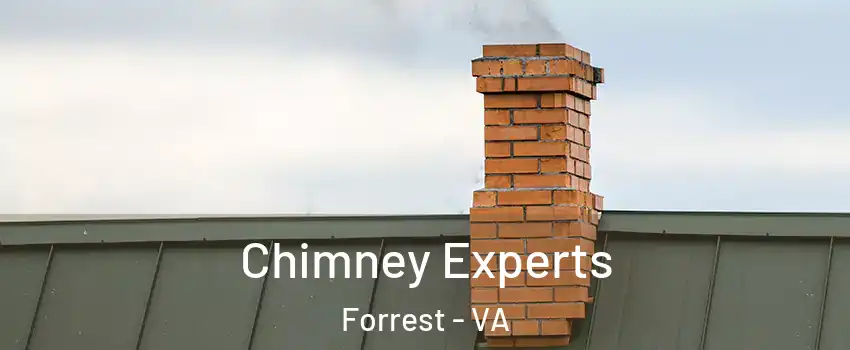 Chimney Experts Forrest - VA