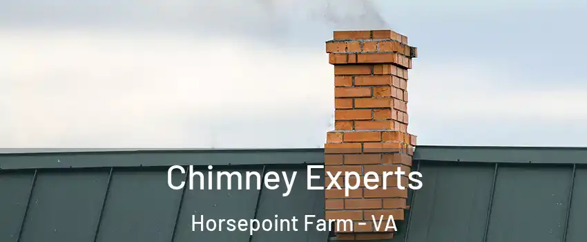 Chimney Experts Horsepoint Farm - VA