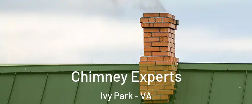 Chimney Experts Ivy Park - VA