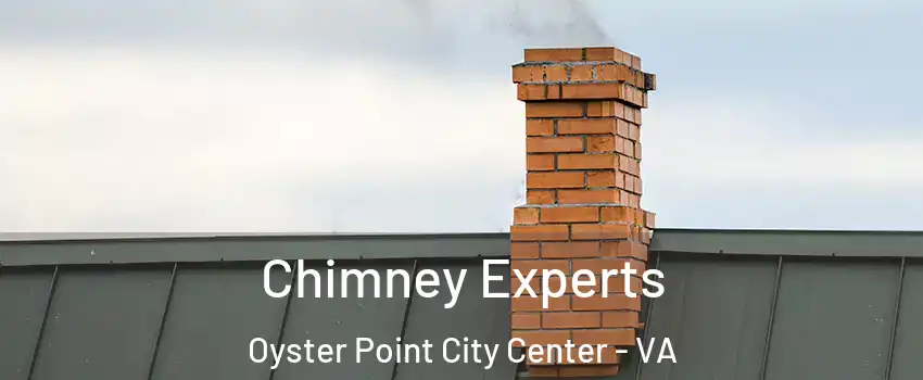 Chimney Experts Oyster Point City Center - VA