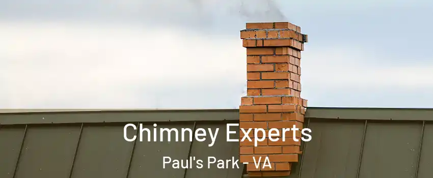 Chimney Experts Paul's Park - VA