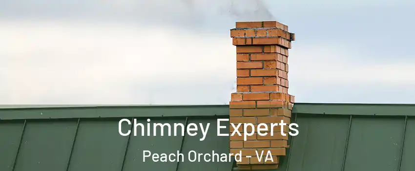 Chimney Experts Peach Orchard - VA