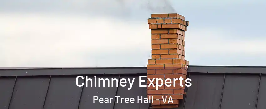 Chimney Experts Pear Tree Hall - VA