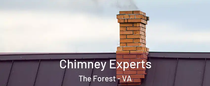 Chimney Experts The Forest - VA