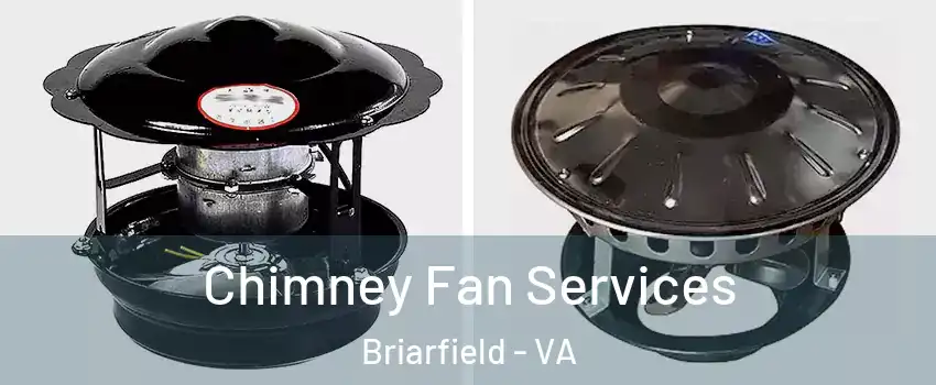 Chimney Fan Services Briarfield - VA