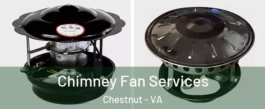 Chimney Fan Services Chestnut - VA