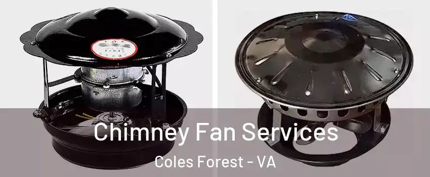 Chimney Fan Services Coles Forest - VA