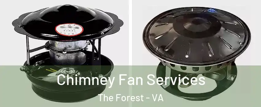 Chimney Fan Services The Forest - VA