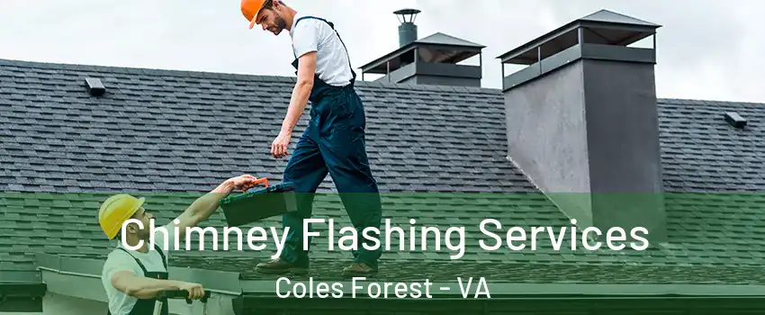 Chimney Flashing Services Coles Forest - VA