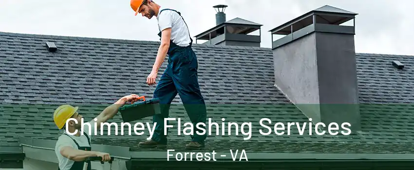 Chimney Flashing Services Forrest - VA