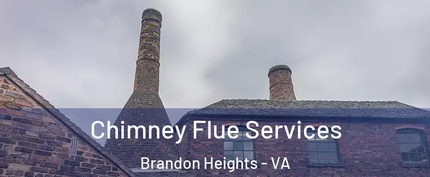 Chimney Flue Services Brandon Heights - VA