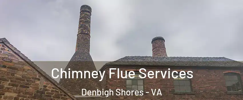 Chimney Flue Services Denbigh Shores - VA