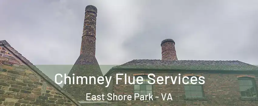 Chimney Flue Services East Shore Park - VA
