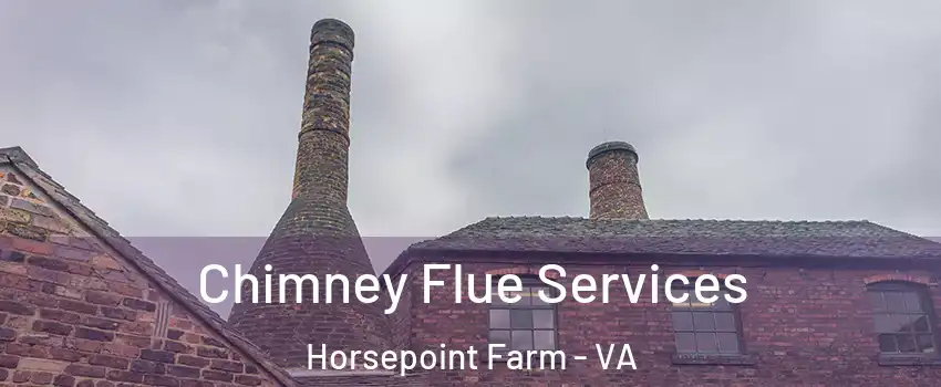 Chimney Flue Services Horsepoint Farm - VA