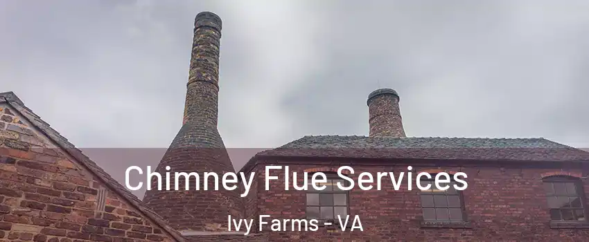 Chimney Flue Services Ivy Farms - VA