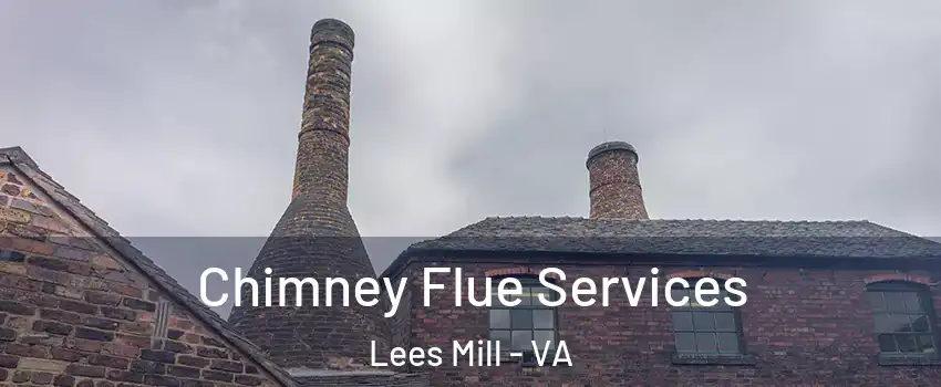 Chimney Flue Services Lees Mill - VA