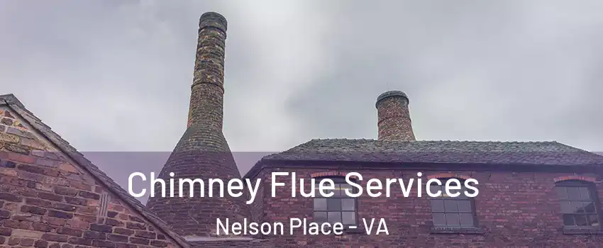 Chimney Flue Services Nelson Place - VA