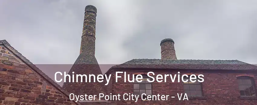 Chimney Flue Services Oyster Point City Center - VA