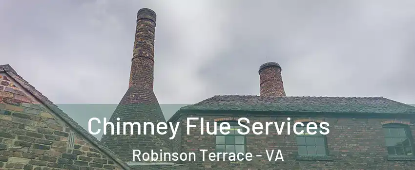 Chimney Flue Services Robinson Terrace - VA