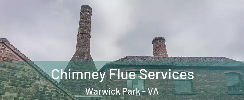 Chimney Flue Services Warwick Park - VA