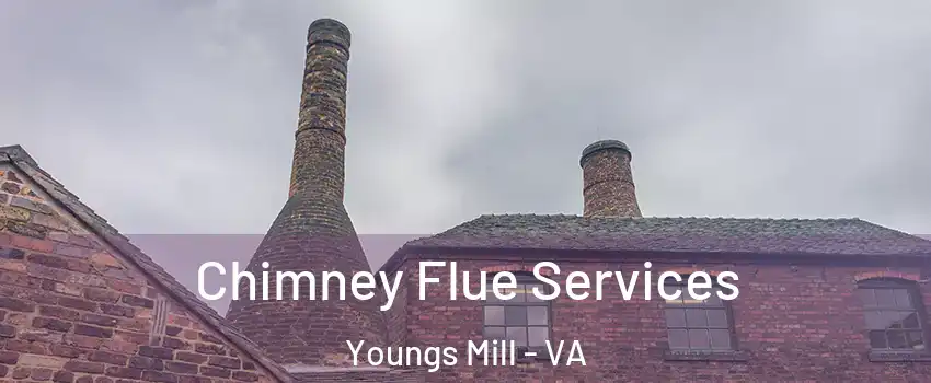 Chimney Flue Services Youngs Mill - VA