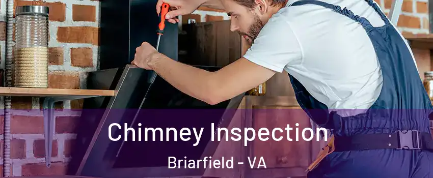 Chimney Inspection Briarfield - VA