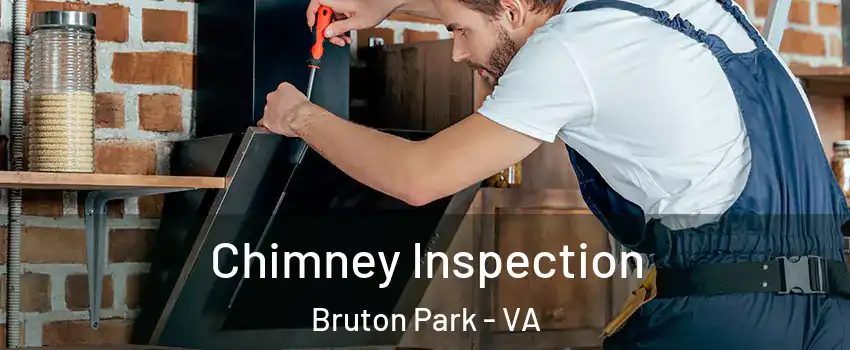 Chimney Inspection Bruton Park - VA