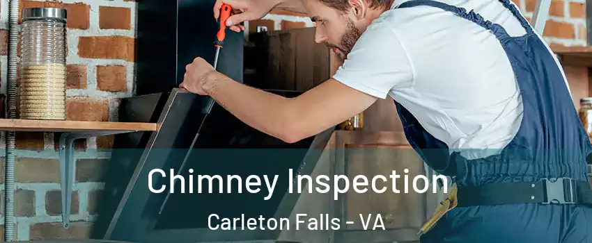 Chimney Inspection Carleton Falls - VA