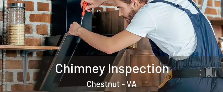 Chimney Inspection Chestnut - VA