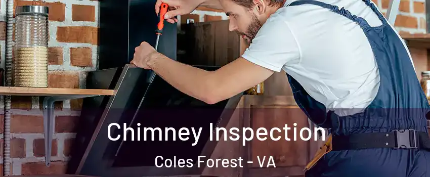 Chimney Inspection Coles Forest - VA