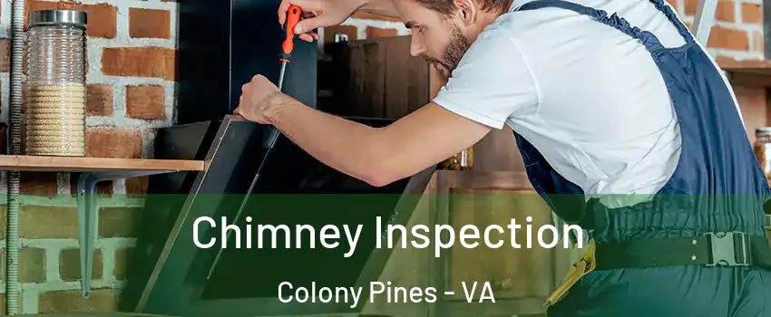 Chimney Inspection Colony Pines - VA