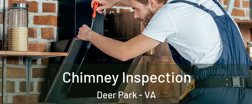 Chimney Inspection Deer Park - VA