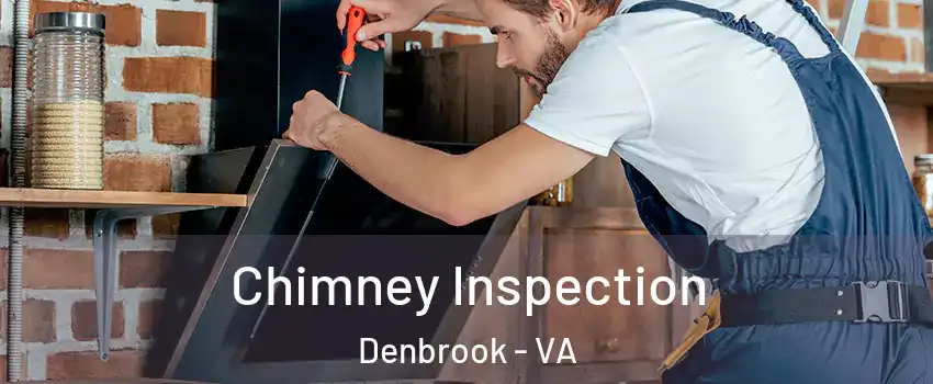 Chimney Inspection Denbrook - VA