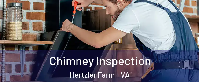 Chimney Inspection Hertzler Farm - VA